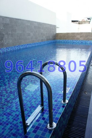 Edenz Suites (D14), Apartment #44668122